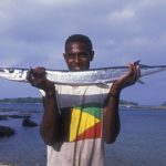 Research into fish stocks in Vanuatu is helping villagers manage the resource (Photo: ACIAR)