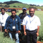 (Back to Front), Ms Janet Yando, Mr.Willie Poo, Ms Manday Yaso and Mr. Enopa Linsay at a pyrethrum farm in Ulverstone, Tasmania