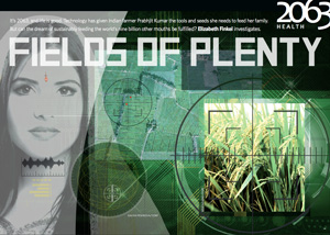 Fields of plenty graphic