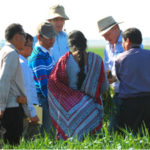 (L-R) Khammone Thiravong, Minea Mao, Tom Say, Christian Roth, Bhagya Laxmi, Paul Castor and Sipaseuth inspecting root growth in wheat