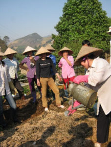 Farmers in Vietnam learn about composting and vegetable growing during one of our training activities.