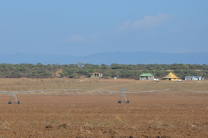 A newly developed irrigation farm in Ethiopia