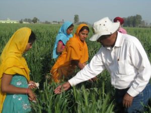Dr. Rajaram working with women farmers in India