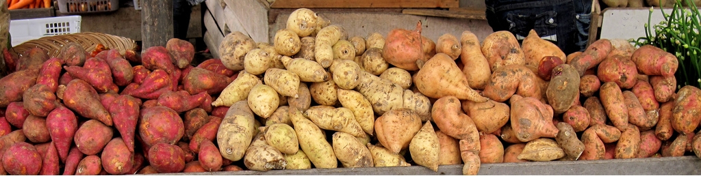 Sweet potato tubers with different skin colors, on sale in Indonesia (Pdemchick, Wikimedia Commons)