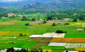 Rural farming plots in Tamil Nadu, India