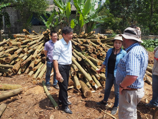 Dr Do Huu Son, Mr Hoang Minh Chuc, Dr Nghiem Quynh Chi and Dr Rod Griffin discuss wood processing at Yen The, Bac Giang Province.