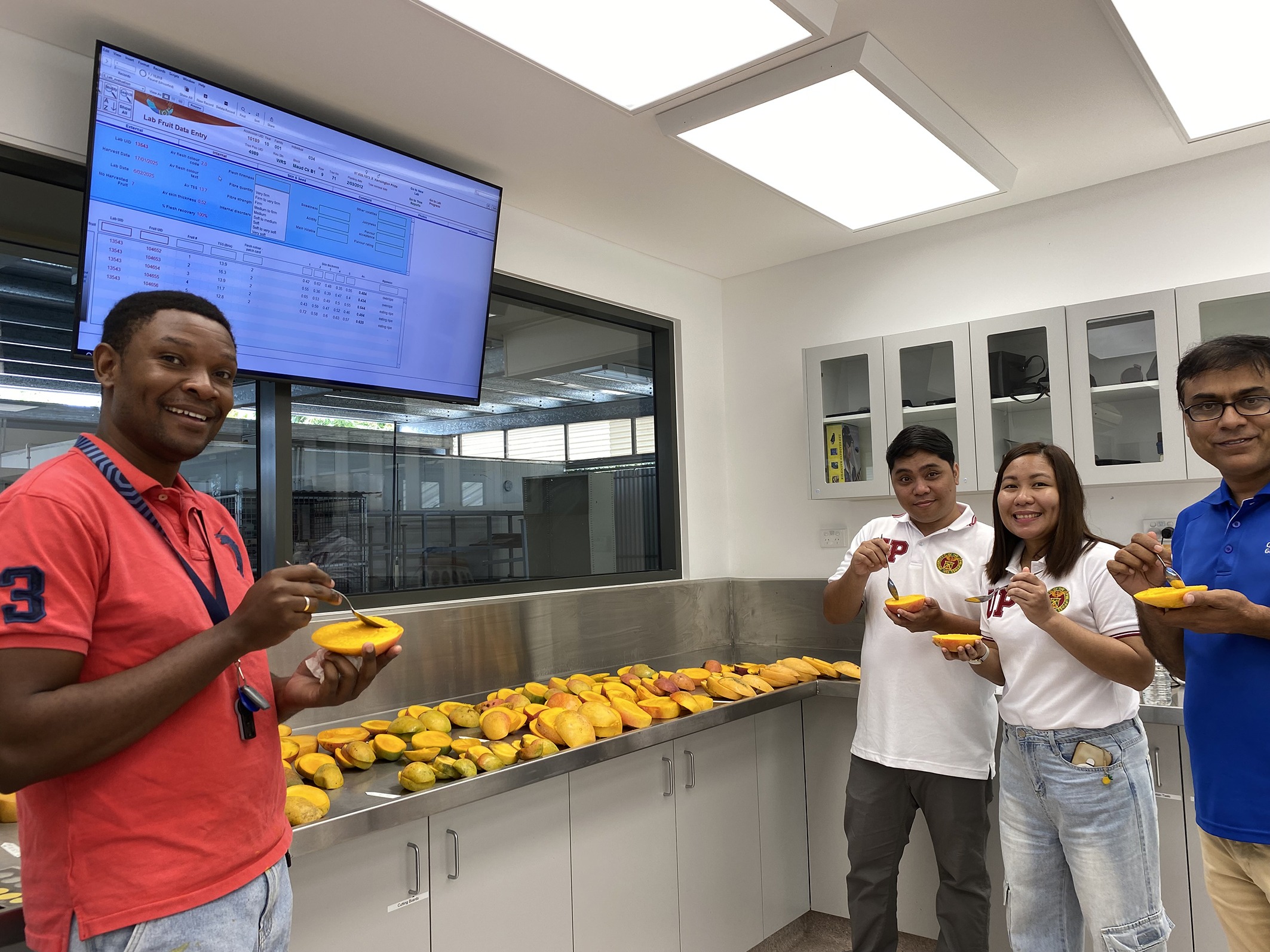 Mango Building Building global partnerships to boost mango breeding